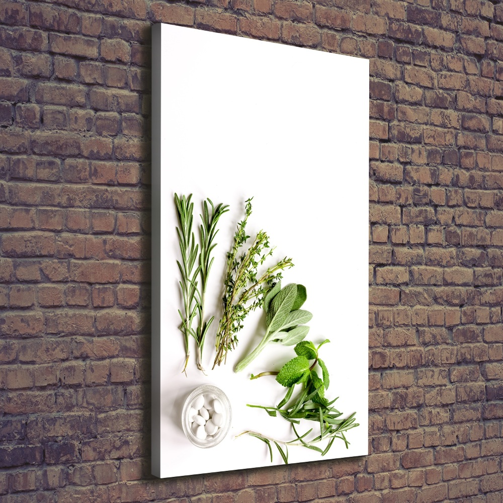 Canvas wall art Herbs