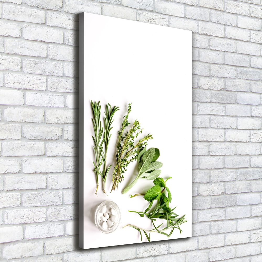 Canvas wall art Herbs