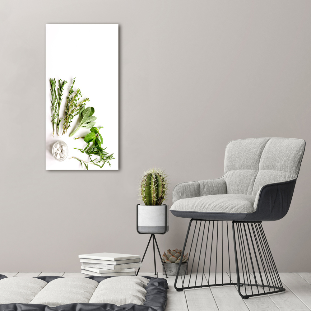 Canvas wall art Herbs