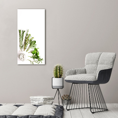 Canvas wall art Herbs