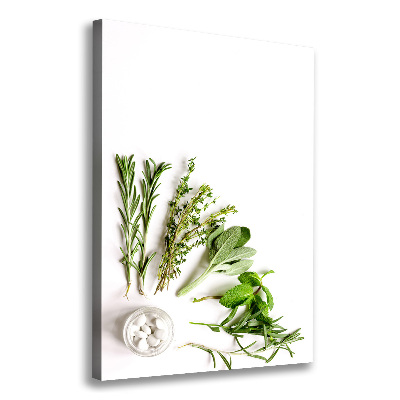 Canvas wall art Herbs