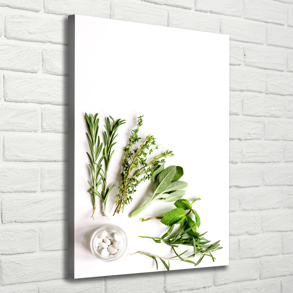 Canvas wall art Herbs