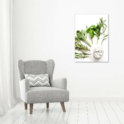 Canvas wall art Herbs