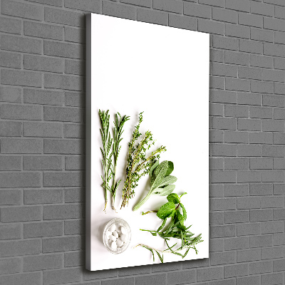 Canvas wall art Herbs