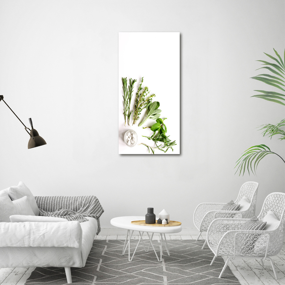 Canvas wall art Herbs