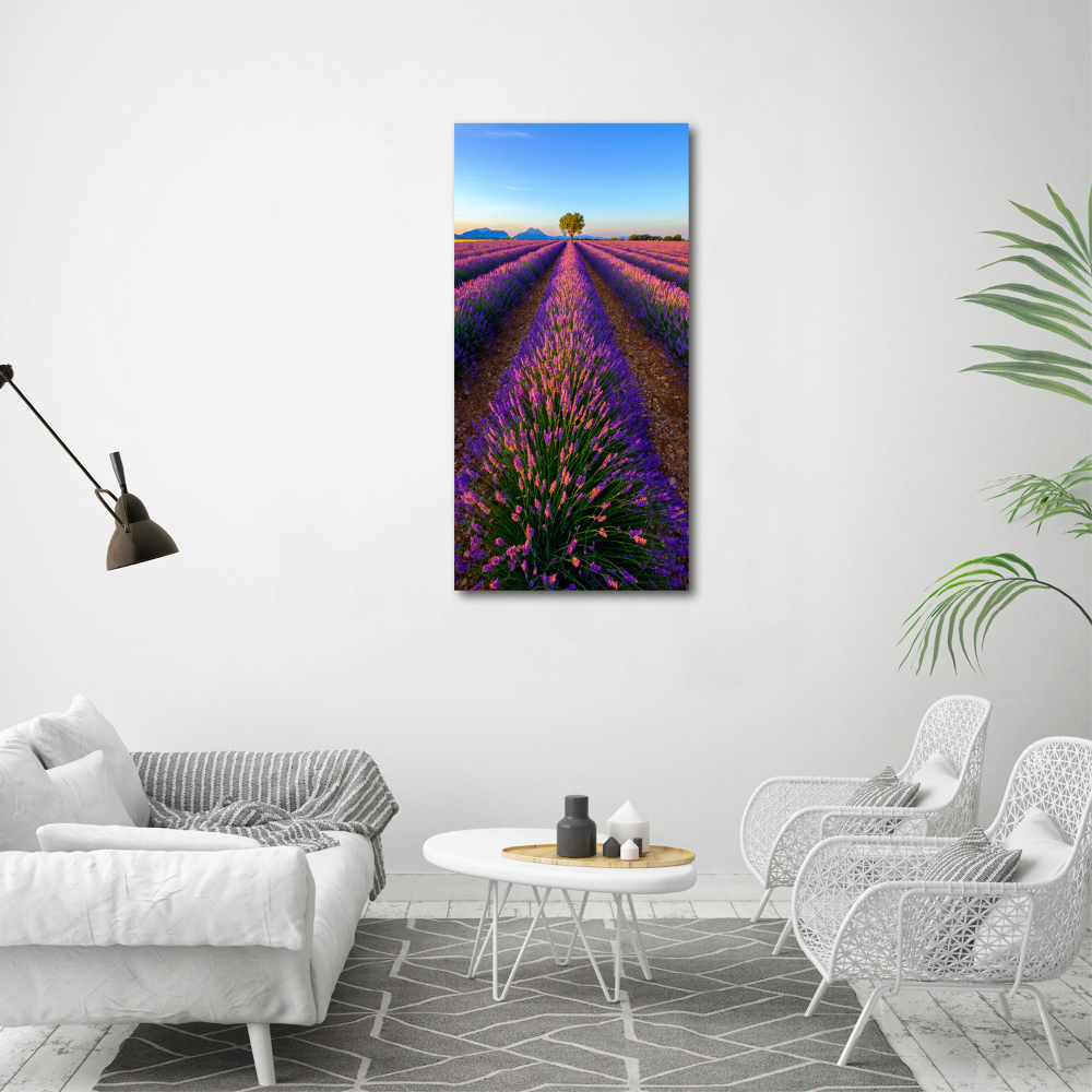 Canvas print Lavender field