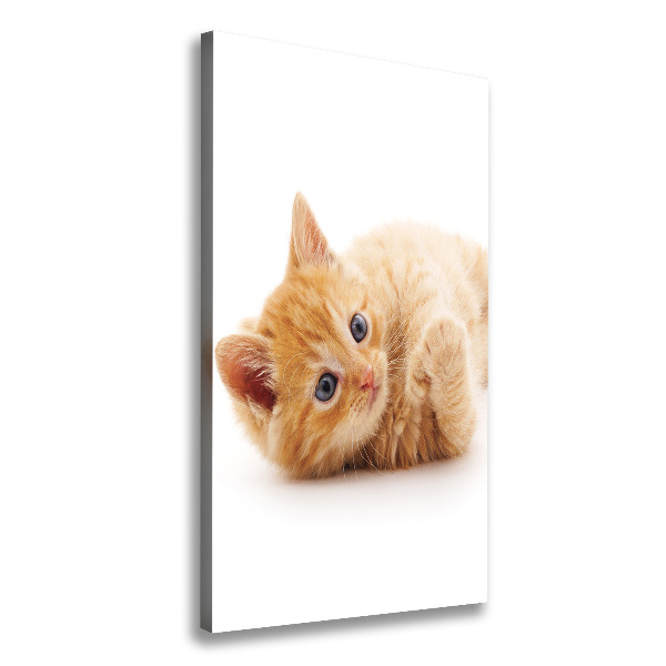 Large canvas wall art Little Rudy Cat