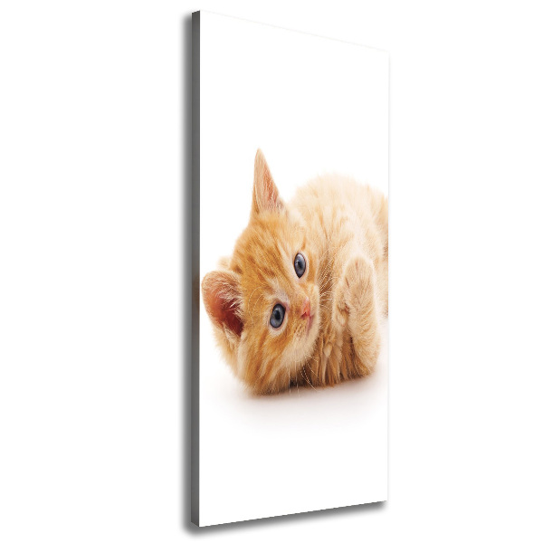 Large canvas wall art Little Rudy Cat