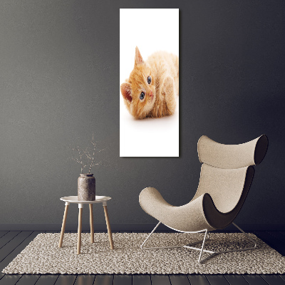 Large canvas wall art Little Rudy Cat