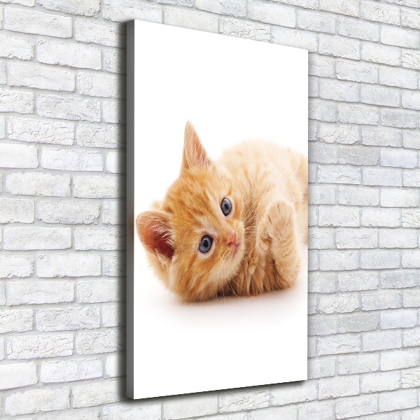 Large canvas wall art Little Rudy Cat