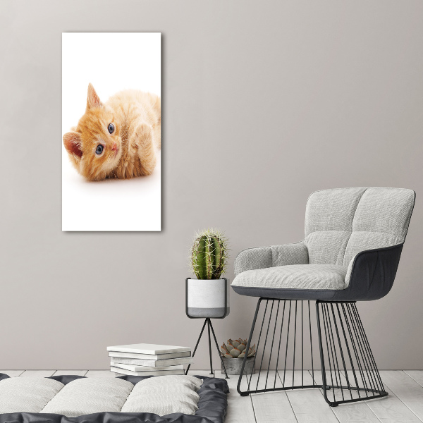 Large canvas wall art Little Rudy Cat