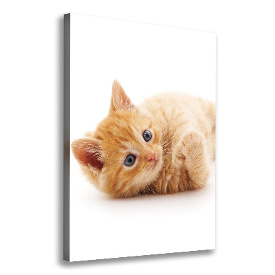 Large canvas wall art Little Rudy Cat