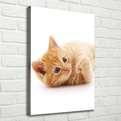 Large canvas wall art Little Rudy Cat