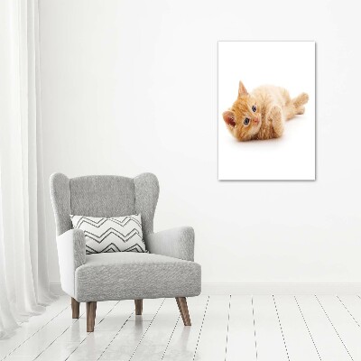 Large canvas wall art Little Rudy Cat