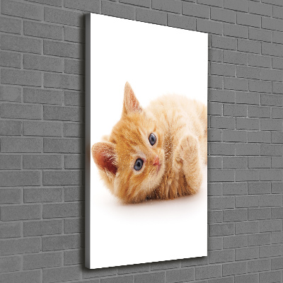 Large canvas wall art Little Rudy Cat