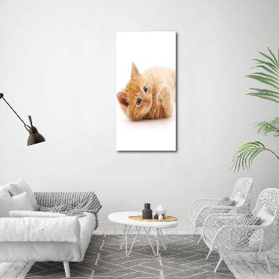 Large canvas wall art Little Rudy Cat