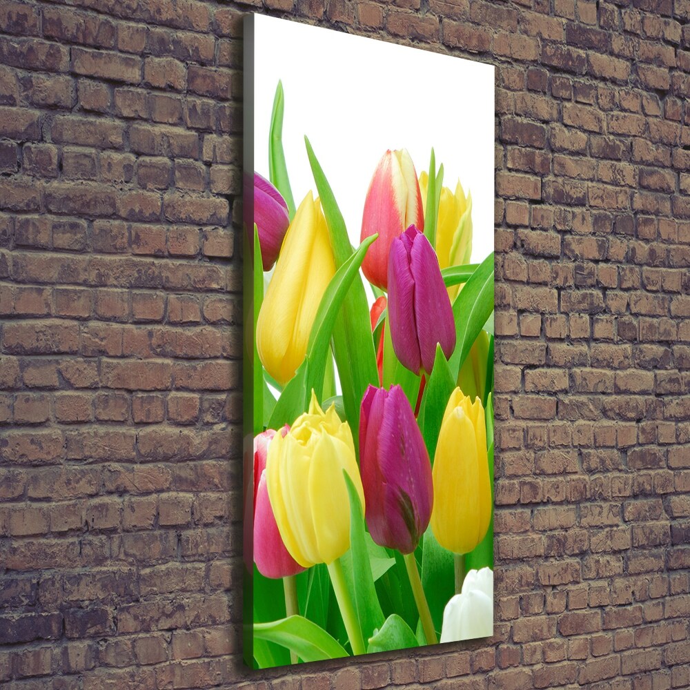 Canvas wall art Colorful tulips