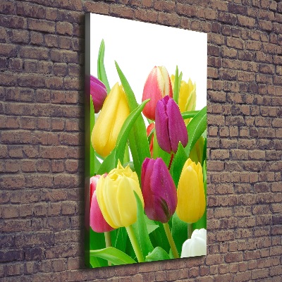 Canvas wall art Colorful tulips