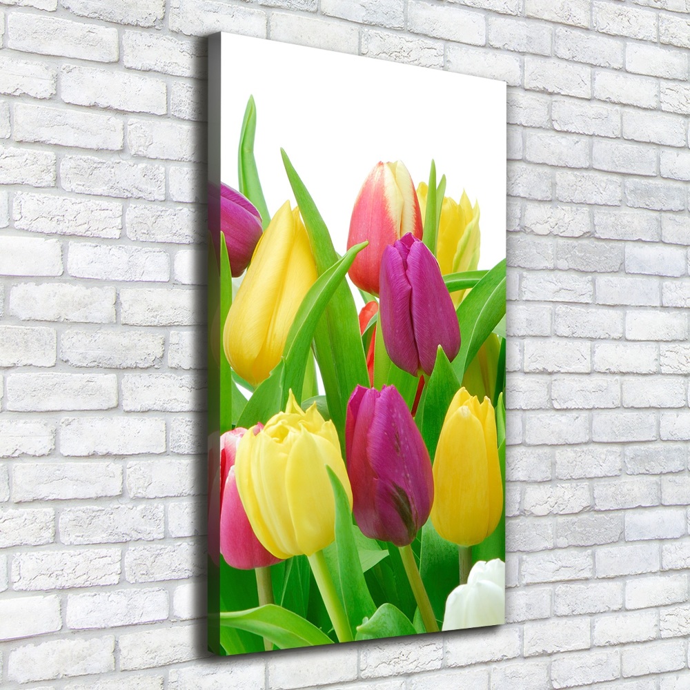 Canvas wall art Colorful tulips