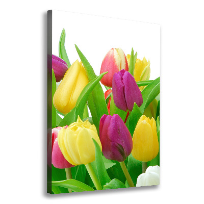 Canvas wall art Colorful tulips