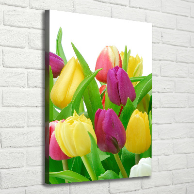 Canvas wall art Colorful tulips