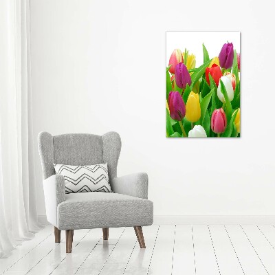 Canvas wall art Colorful tulips