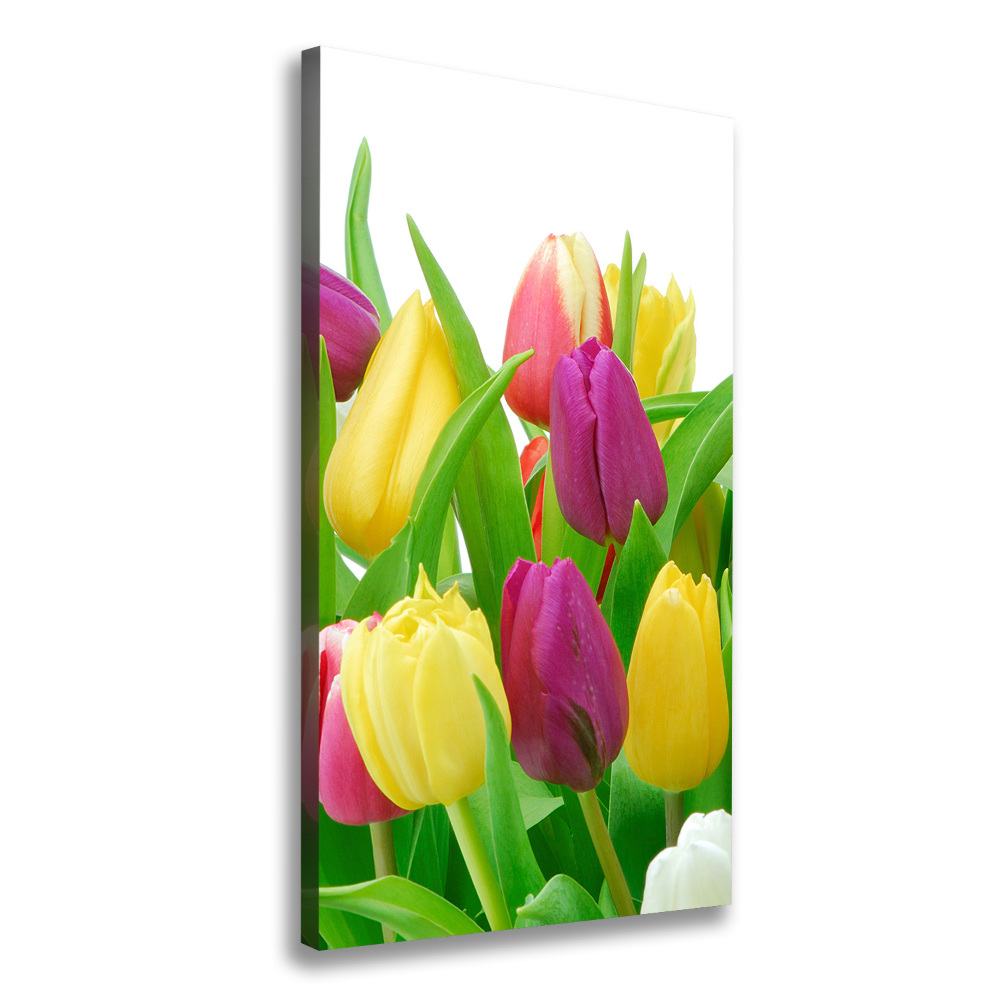 Canvas wall art Colorful tulips