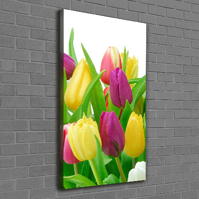 Canvas wall art Colorful tulips