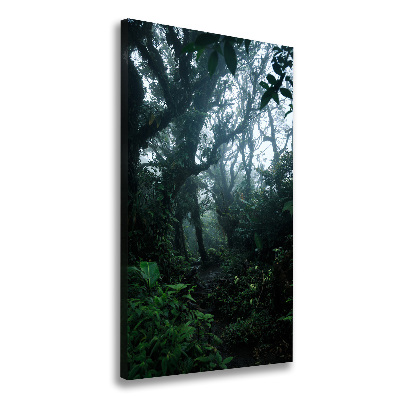 Large canvas wall art the rainforest