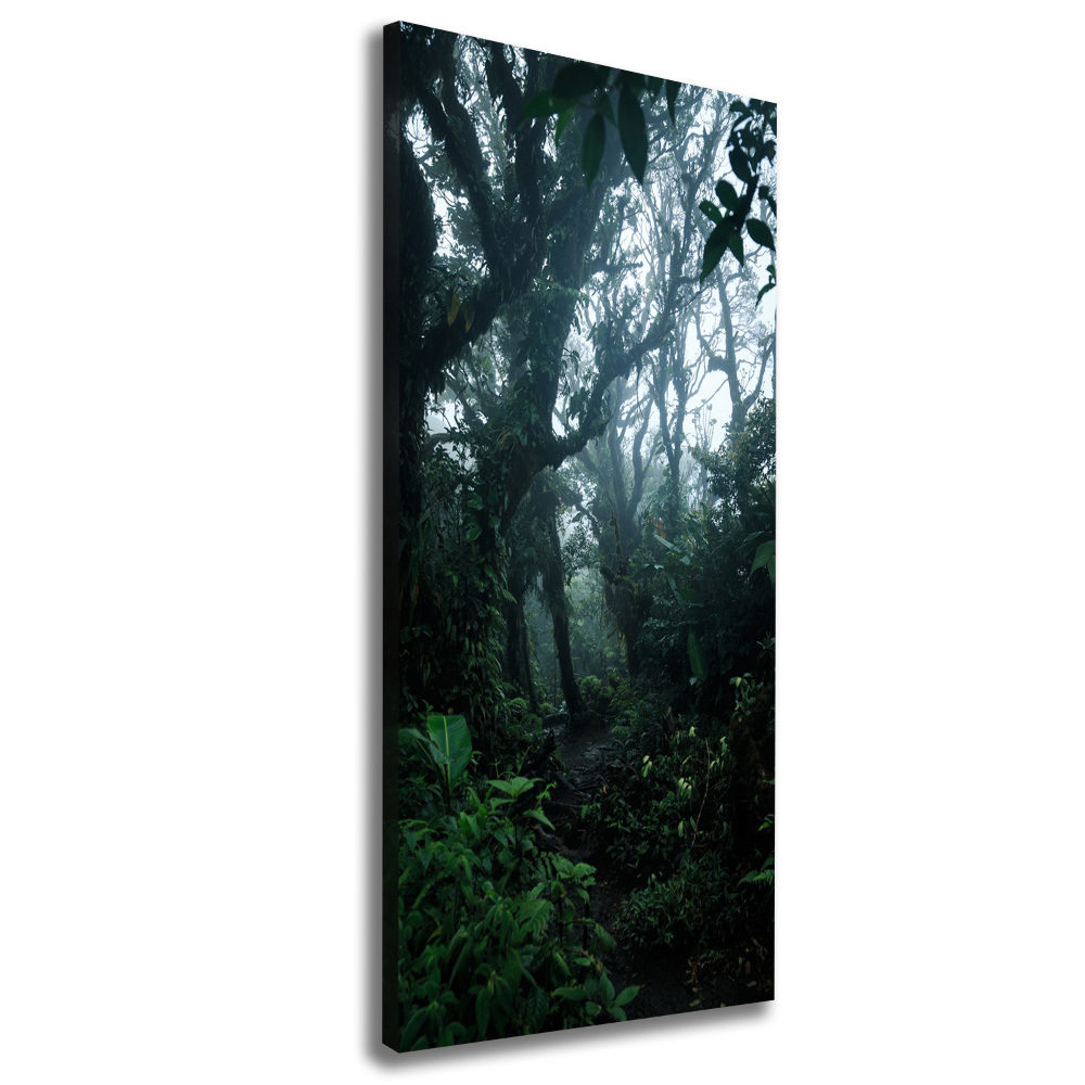 Large canvas wall art the rainforest