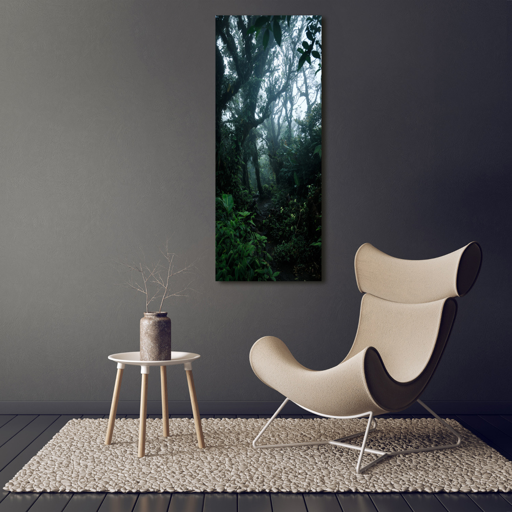 Large canvas wall art the rainforest