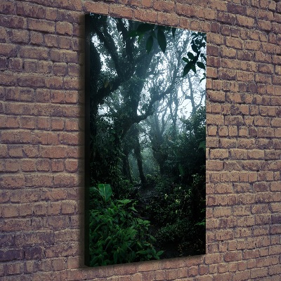 Large canvas wall art the rainforest