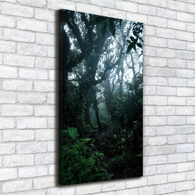 Large canvas wall art the rainforest