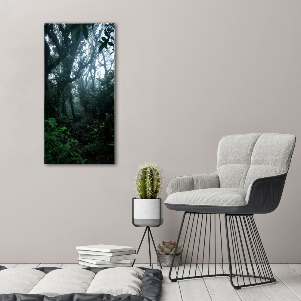 Large canvas wall art the rainforest