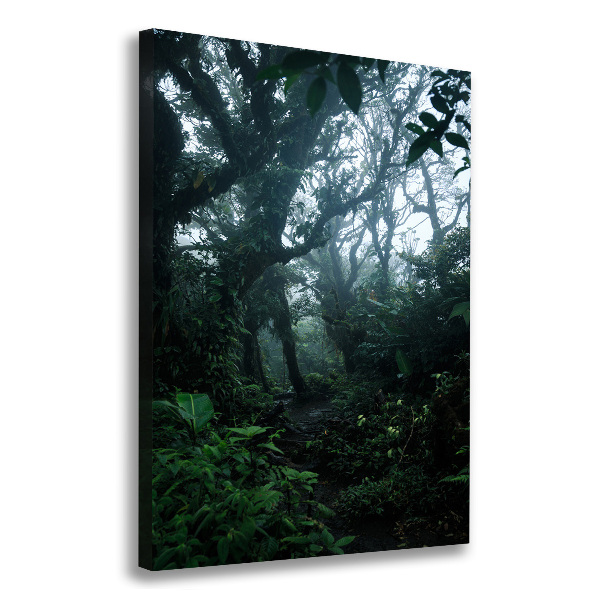 Large canvas wall art the rainforest