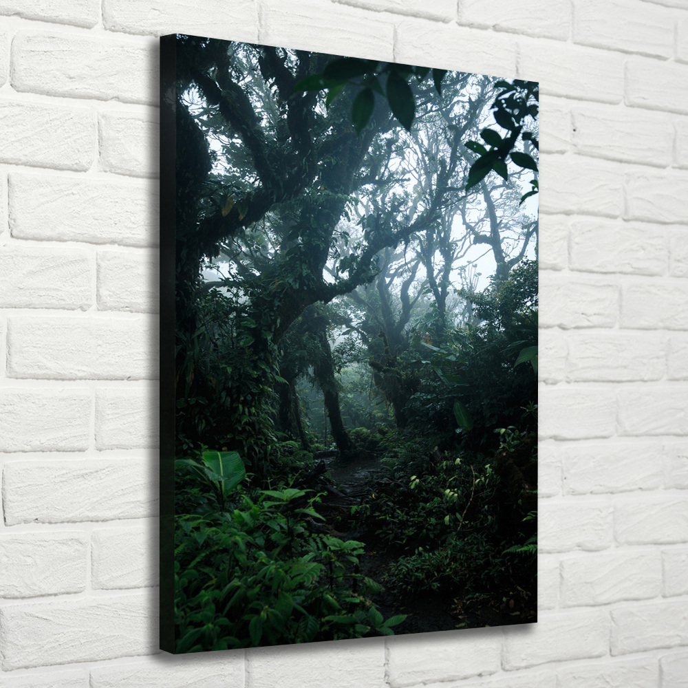 Large canvas wall art the rainforest