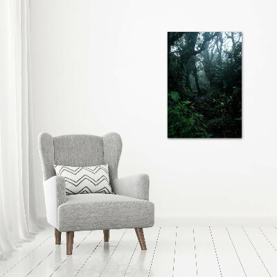 Large canvas wall art the rainforest