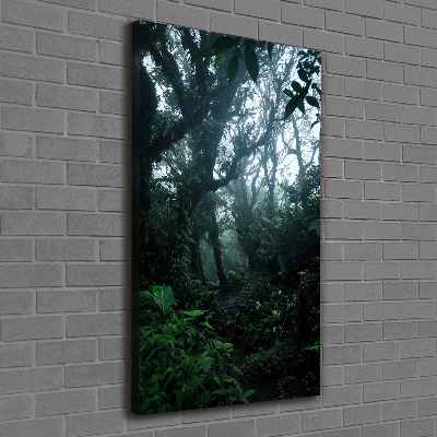 Large canvas wall art the rainforest