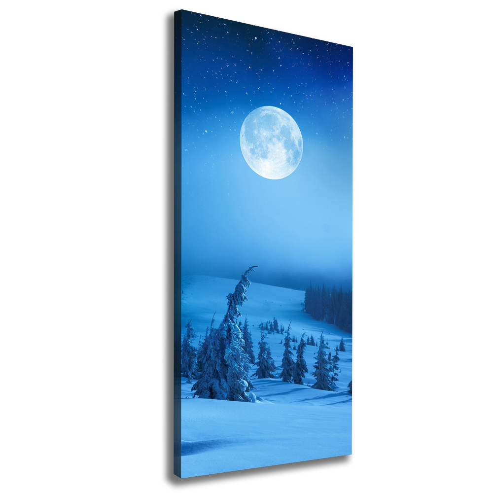 Canvas print Full moon