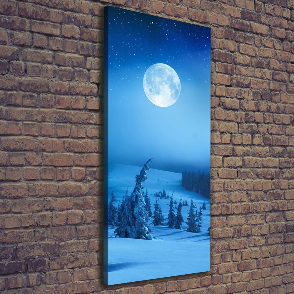 Canvas print Full moon