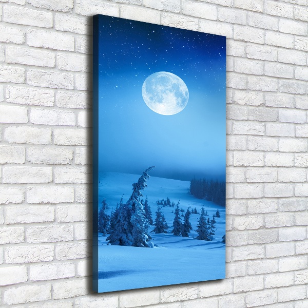 Canvas print Full moon