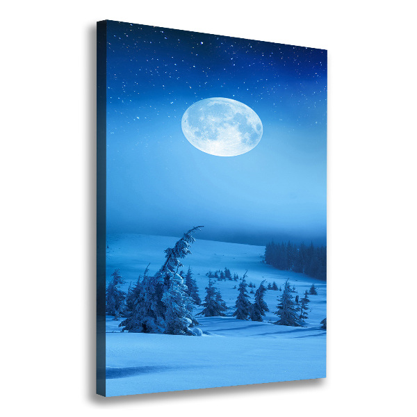 Canvas print Full moon