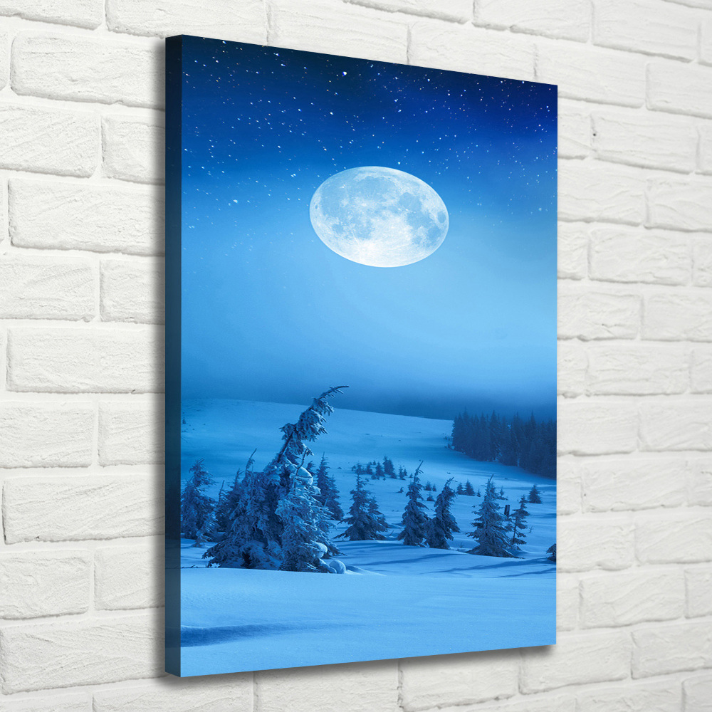 Canvas print Full moon