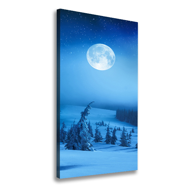 Canvas print Full moon