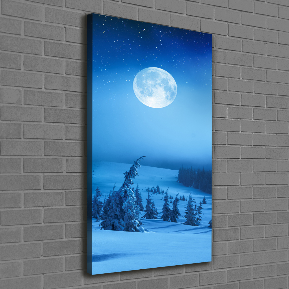 Canvas print Full moon