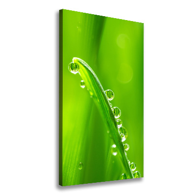 Canvas wall art Blade of grass