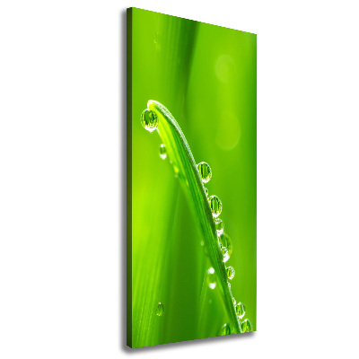 Canvas wall art Blade of grass