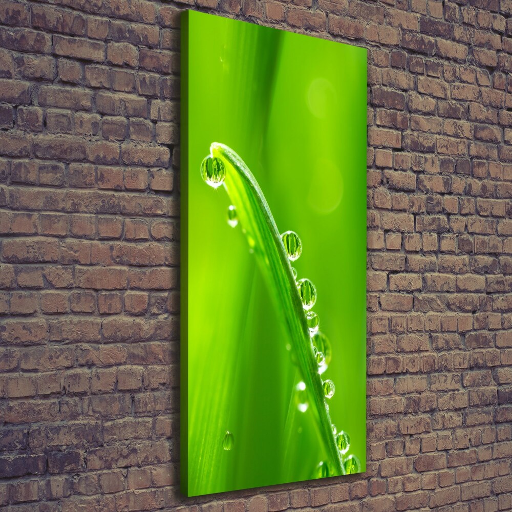 Canvas wall art Blade of grass