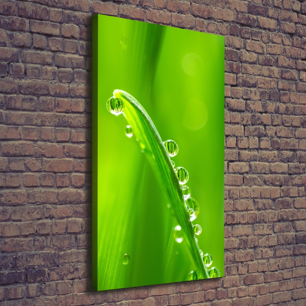 Canvas wall art Blade of grass