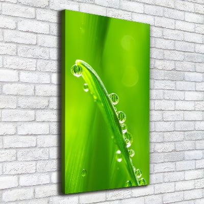 Canvas wall art Blade of grass